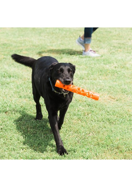 ! Air Fetch Stick Köpek Oyuncağı (Büyük Boy)