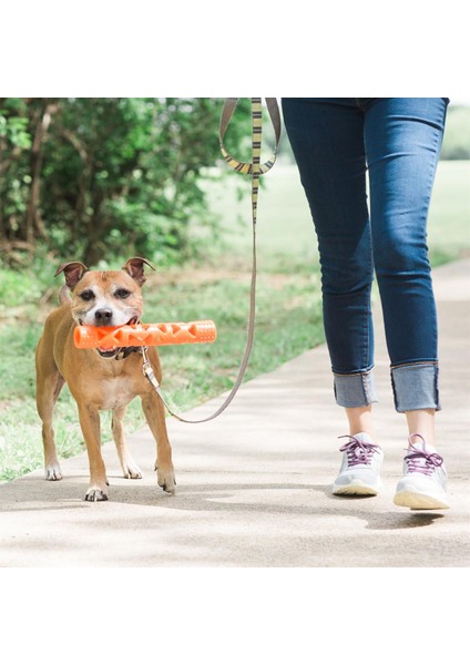 ! Air Fetch Stick Köpek Oyuncağı (Küçük Boy)