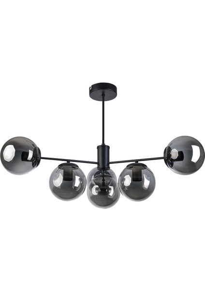 Violet Modern Tasarım Salon Mutfak Yatak Odası Siyah Renk Füme Camlı 6 Lı Avize