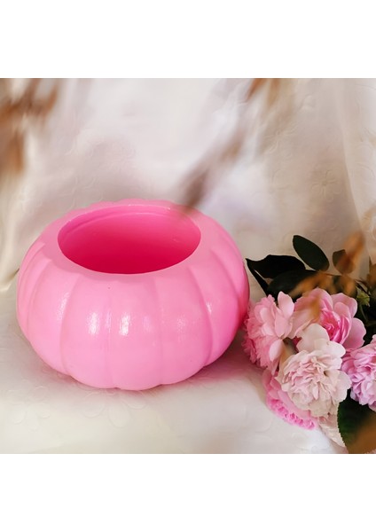 Pastel Pembe Renk Kabak Saksı Kaktüs ve Sukulent Saksısı Menekşe Saksısı Büyük Boy 14 x 7 Cm. fiyatları