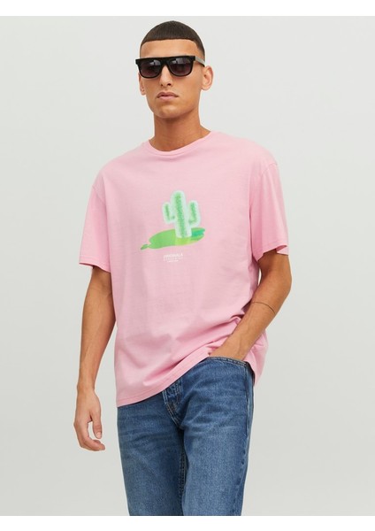 Jordimensional Tee Ss Crew Neck Tg Pembe Erkek T-shirt 12238166-Prism