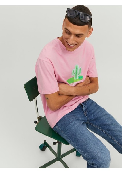 Jordimensional Tee Ss Crew Neck Tg Pembe Erkek T-shirt 12238166-Prism fiyatları