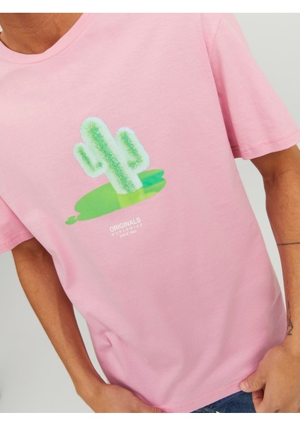 Jordimensional Tee Ss Crew Neck Tg Pembe Erkek T-shirt 12238166-Prism