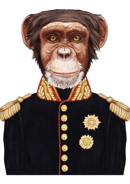 Kanvas Tablo General Kıyafetli Maymun Hayvan Temalı 157 fiyatları