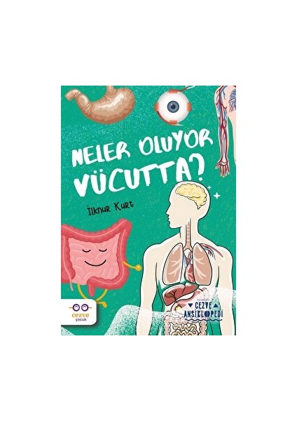 Neler Oluyor Vücutta? – Cezve Ansiklopedi - İlknur Kurt