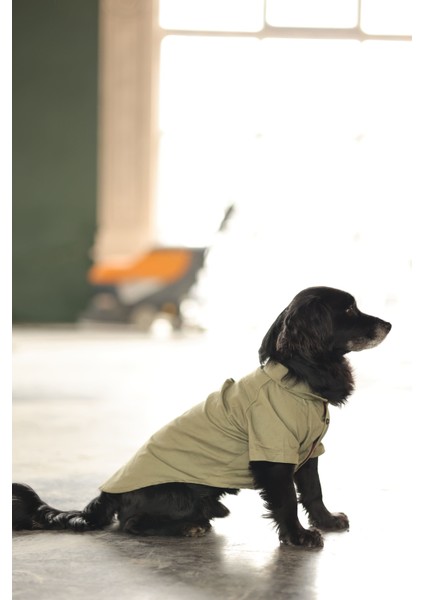 Küçük ve Orta Irk Haki Gömlek Collar