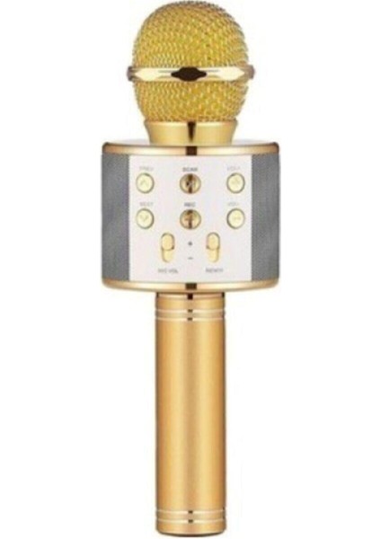 Glrtech Wster Karaoke Mikrofon Dahili Hoparlörlü USB Flash Destekli WS-858 Gold