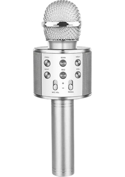 Evr Krk 02 Karaoke Mikrofon Gri Silver
