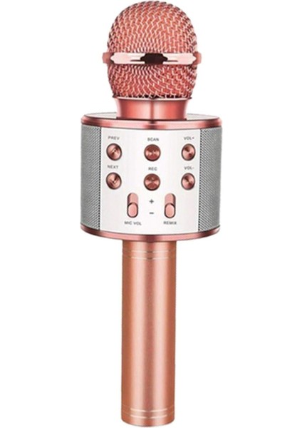 Wster WS858 Evr Krk 02 Karaoke Mikrofon
