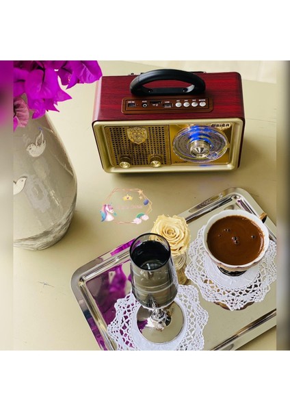 Meirer M110BT Nostaljik Radyo Bluetoothlı USB M110 indirimleri