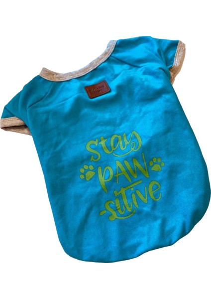 Turkuaz Pawsitive Küçük Irk Köpek T-shirtü (2 kg-6 kg arasına uygun)