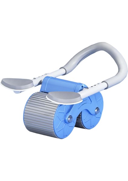 Profesyonel Tekerlek Ab Makinesi Ev Spor Salonu Erkekler Mavi Egzersiz Ayarlanabilir (Yurt Dışından) fiyatları