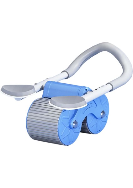 Profesyonel Tekerlek Ab Makinesi Ev Spor Salonu Erkekler Mavi Egzersiz Ayarlanabilir (Yurt Dışından) fırsatları