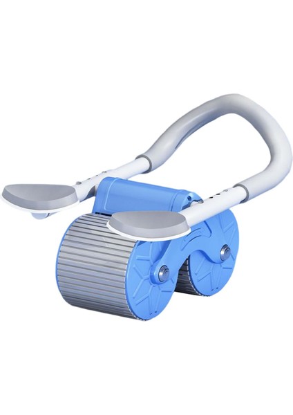 Profesyonel Tekerlek Ab Makinesi Ev Spor Salonu Erkekler Mavi Egzersiz Ayarlanabilir (Yurt Dışından) indirimleri