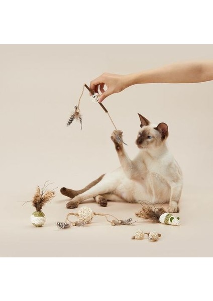 5 Adet / Takım Mutian Polygonum Kedi Oyuncaklar Kedi Malzemeleri Yavru Molars Isırma Catnip Komik Kedi Oyuncak Kedi Aksesuarları Doğal Malzeme | Kedi Oyuncakları (Yurt Dışından) fiyatları