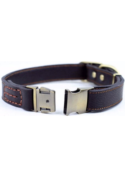 Dana Hakiki Deri Pet Köpek Yaka En Üst Sınıf Pet Eğitim Yaka Orta Büyük Köpekler Için Ağır Hizmet Tutabilen | Köpek Yaka (33 ~ 51 Cm x 2.5 Cm) (Yurt Dışından)