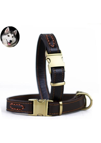 Dana Hakiki Deri Pet Köpek Yaka En Üst Sınıf Pet Eğitim Yaka Orta Büyük Köpekler Için Ağır Hizmet Tutabilen | Köpek Yaka (33 ~ 51 Cm x 2.5 Cm) (Yurt Dışından) fiyatları