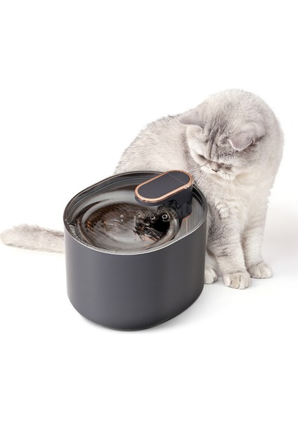3l Filtre Fonksiyonlu Otomatik Pet Su Sebili - Gri (Yurt Dışından)