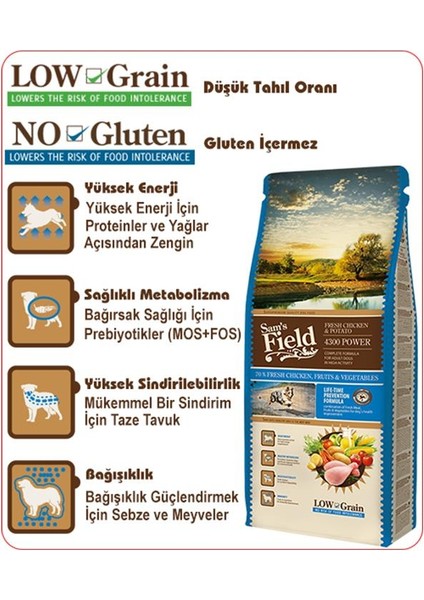 POWER4300 Tavuklu Patatesli Düşük Tahıllı Yetişkin Aktif Köpek Maması 2.5kg