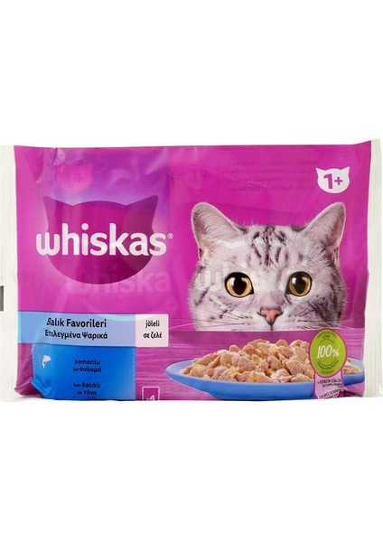 Balık Favorileri Somonlu ve Ton Balıklı Kedi Yaş Mama 340 G (4 x 85 Gr)