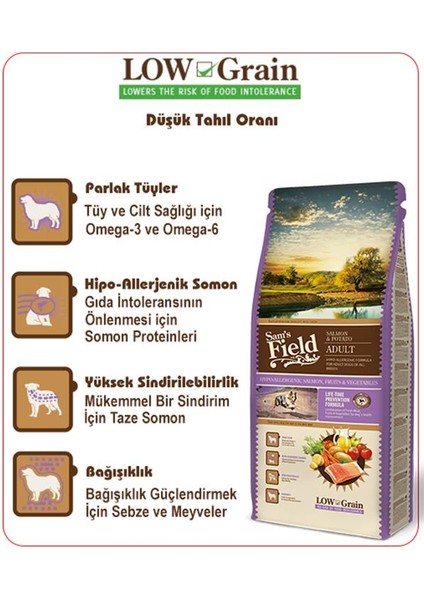 Hypo-Allergenic Somonlu Patatesli Düşük Tahıllı Yetişkin Köpek Maması 13KG