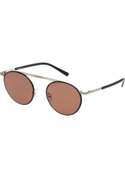 Wıld Swan Sun 01