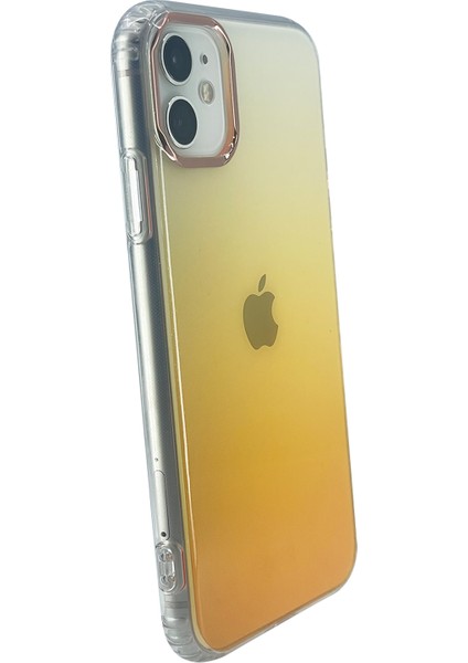 Apple iPhone 11 Uyumlu Nettech Sert Gökkuşağı Seri Arka Koruma Kılıf