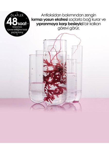 Healthy Hair Travel Trio - Bağ Güçlendiren & Saçların Sağlıklı Olmasını Sağlayan Bakım Seti