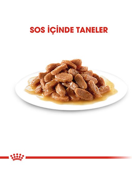 Kitten Gravy Pouch Yavru Kedi Yaş Maması 85 gr