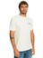 Quıksılver Archedtype M Tees Erkek T-Shırt EQYZT07283-WDW0 4