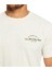 Quıksılver Archedtype M Tees Erkek T-Shırt EQYZT07283-WDW0 5