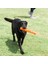 ! Air Fetch Stick Köpek Oyuncağı (Büyük Boy) 5