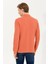 Erkek Kiremit Sweatshirt 50263111-VR031 5