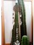Feng Shui Suncatcher Güneş Yakalayıcı Pencere Duvar Dekorasyonu Sun Catcher 2