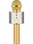 Glrtech Wster Karaoke Mikrofon Dahili Hoparlörlü USB Flash Destekli WS-858 Gold 1