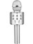 Evr Krk 02 Karaoke Mikrofon Gri Silver 1
