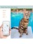 Airtag Pet Yakası Gps Izleyici Silikon Koruyucu Kapak Çan ve Kalp Şekli Kolye (Yurt Dışından) 3