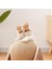 Kedi Tırmalamak Kurulu Giymek Dayanıklı Sicim Topu Dikey Scratcher Yavru Oyuncak Taşlama Pençe Tırmalamak Topu Pet Kedi Malzemeleri | Mobilya Ve Çizikler (Yurt Dışından) 3