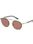 Wıld Swan Sun 01 1