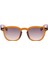 Brood Sun 08 2