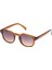 Cohen Sun 08 1