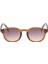 Cohen Sun 08 2
