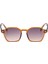 Dulcet Sun 08 2