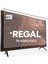 Regal 65R858UR Tv Ekran Koruyucu - Regal 65" Inç 164 Ekran Koruyucu 1