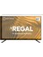 Regal 65R858UR Tv Ekran Koruyucu - Regal 65" Inç 164 Ekran Koruyucu 2