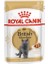 British Shorthair Adult Pouch Kedi Maması 85 gr 1