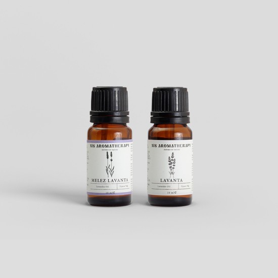 Lavender (Lavandula angustifolia): Aromaterapi, Relaksan, dan Pembantu Tidur Nyenyak dari Taman Keluarga