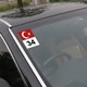 Seçili Renk Renkli