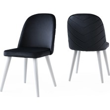 Aydınev Bahar Sandalye (2 Adet)