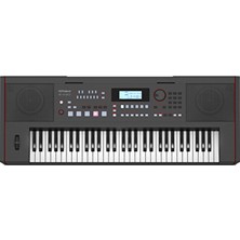 ROLAND E-X50 Tuş Hassasiyetli Ritimli Org Klavye